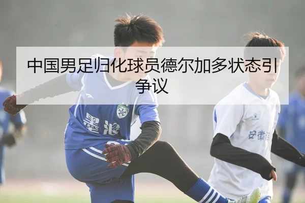 zhong-guo-nan-zu-gui-hua-qiu-yuan-de-er-jia-duo-zhuang-tai-yin-zheng-yi-2-443.jpg