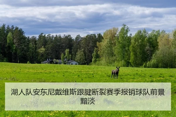 hu-ren-dui-an-dong-ni-dai-wei-si-gen-jian-duan-lie-sai-ji-bao-xiao-qiu-dui-qian-jing-an-dan-2-480.jpg
